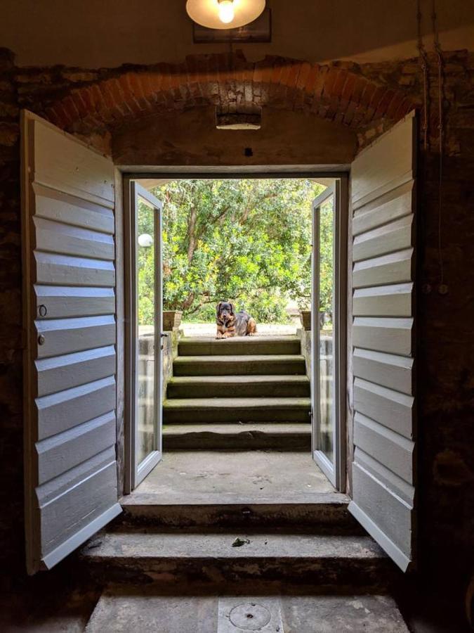 Il Pezzatino Guest House Rufina Exterior photo